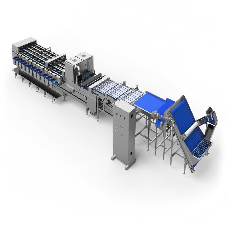 grading packing machine