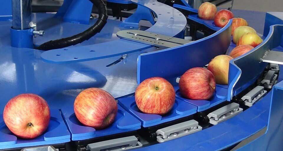Fruit Grading and Packaging Machines Best 8 Solutions