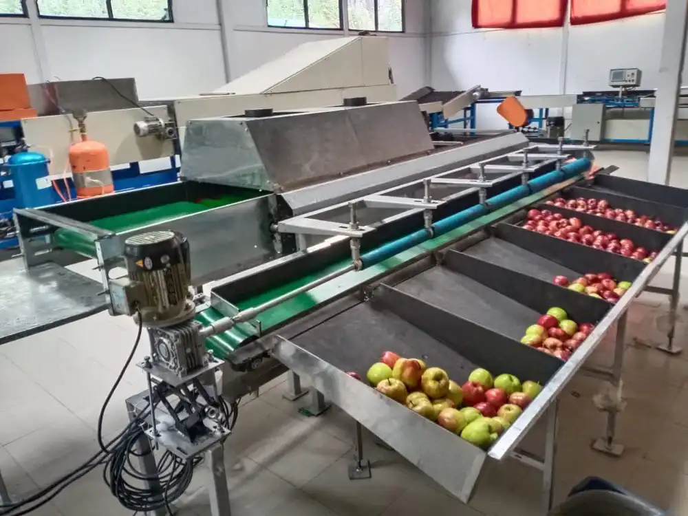 machine de calibrage et d'emballage